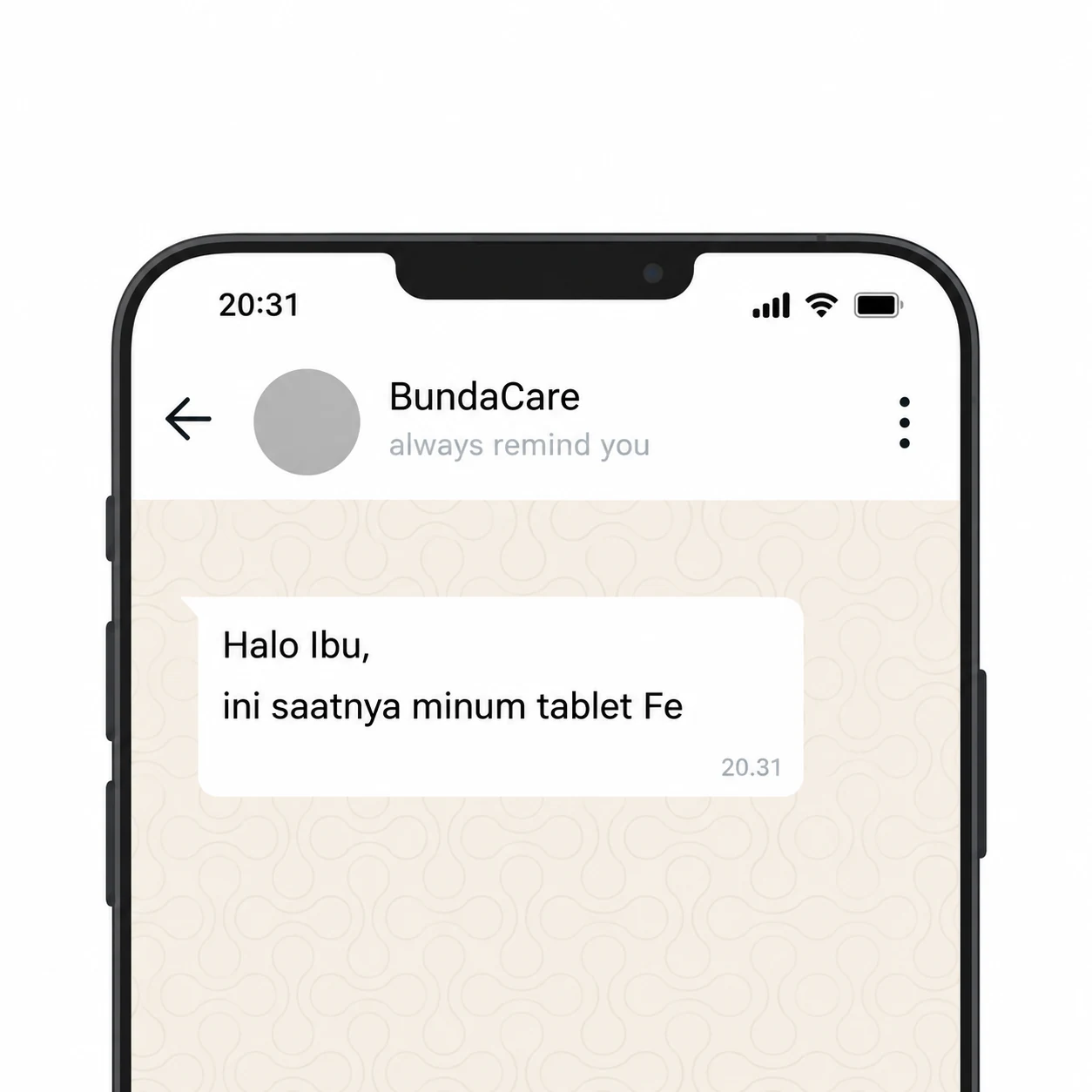 Contoh pesan WhatsApp dari BundaCare: "Halo Ibu, ini saatnya minum tablet Fe"